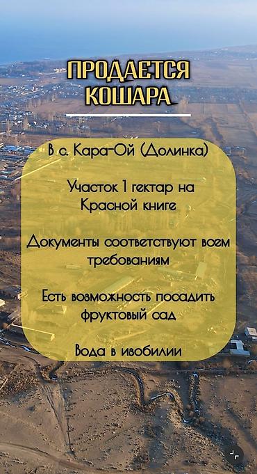 Продажа сельхоз предприятий: Кошара, 100 соток, Электричество, Холодная вода — 9