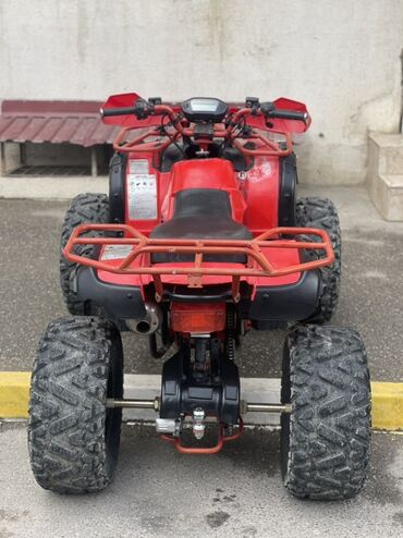 Kvadrosikllar: 200 sm3, 2022 il, 2900 km — 10