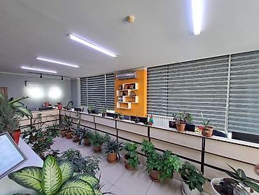 Kommersiya daşınmaz əmlakı: İcarəyə verilir 2 otaqlı ofis 200 m², Gənclik m. Daha 7 şəklə bax — 2
