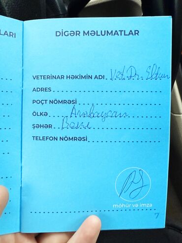 İtlər: •	Yaşı: 4 aylıq (5 aylığa keçəcək) 	•	Tam aktiv və sağlamdır 	•	Bütün — 6