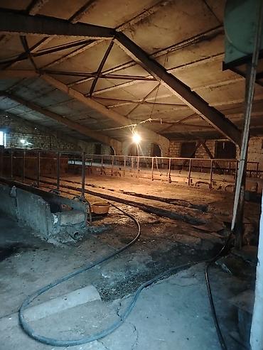 Kənd təsərüfatı heyvanları üçün digər mallar: Ferma/təsərrüfat kompleksi - Heyvandarlıq üçün tikili və açıq — 11