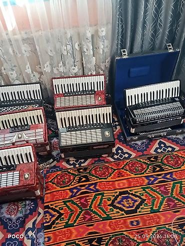 Аккордеоны: Аккордеон привязанный в хорошем состоянии 👍👍👍. Особенности: - — 1