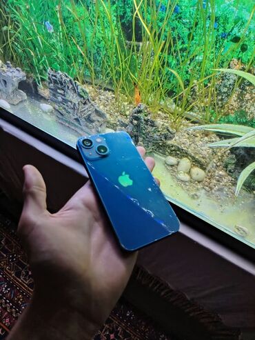 alfa: IPhone 13 mini, 128 GB, Göy, Face ID