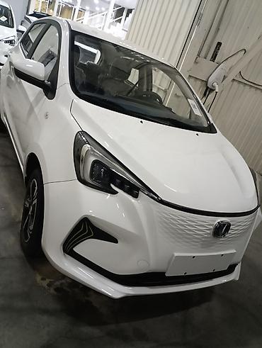 учкун кырман: Changan Benni: 2024 г., Электромобиль, Хетчбек — 1