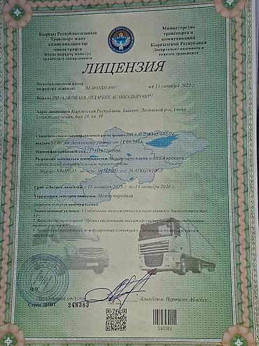 наушники pro 5: Пункт назначения: Все направления, Количество мест: 55, Лицензия №: 248383 — 5