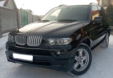 BMW: BMW X5: 2004 г., 3 л, Типтроник, Дизель, Внедорожник