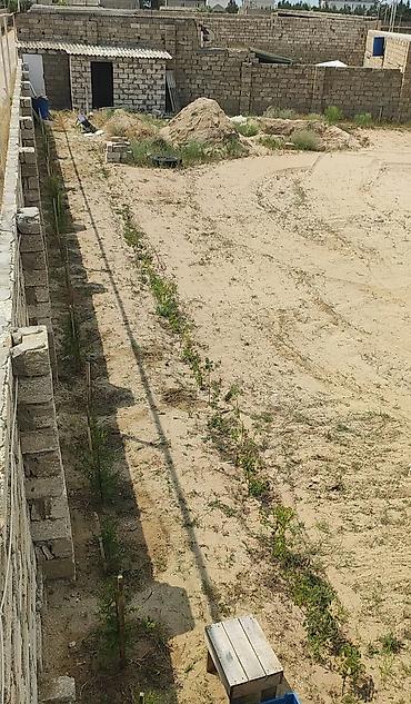 türkanda ev: 12 sot, Mülkiyyətçi, Kupça (Çıxarış) — 1