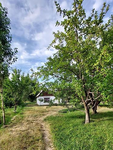кредит акча: Продается дом в селе Тош-Булак! (Сокулук) — 1