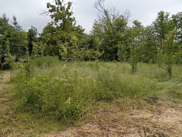 Torpaq sahələrinin satışı: 6 sot, Tikinti, Barter mümkündür, Kupça (Çıxarış) -da lalafo.az — 3 Torpaq sahələrinin satışı: 6 sot, Tikinti, Barter mümkündür, Kupça (Çıxarış) — 3