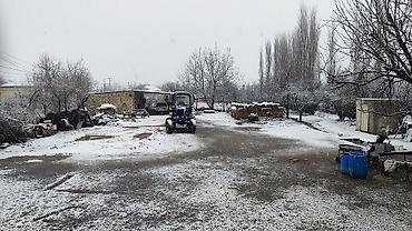 Traktorlar: Traktor Belarus (MTZ) 12, 2020 il, 82 at gücü, motor 0.3 l, İşlənmiş -da lalafo.az — 1 Traktorlar: Traktor Belarus (MTZ) 12, 2020 il, 82 at gücü, motor 0.3 l, İşlənmiş — 1