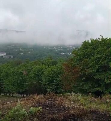 Torpaq sahələrinin satışı: 20 sot, Mülkiyyətçi, Kupça (Çıxarış), Texniki pasport -da lalafo.az — 7 Torpaq sahələrinin satışı: 20 sot, Mülkiyyətçi, Kupça (Çıxarış), Texniki pasport — 7