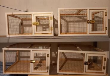 Qəfəslər: Dovşan,şinşila,bildirçin,cücə,xamyak,pişik,quş ve s kimi ev heyvanlari — 5