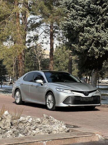 тайота пробох: Toyota Camry: 2019 г., 2.5 л, Автомат, Бензин