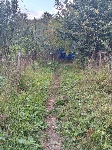 Torpaq sahələrinin satışı: 15 sot, Mülkiyyətçi, Kupça (Çıxarış), Texniki pasport — 3