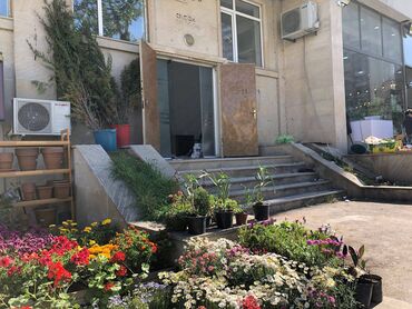 Digər kommersiya daşınmaz əmlakı: Elimlər metrosuna yaxın sahəsi 250 kv/m olan, 5 otağlı obyekt — 10