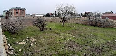 yevlax emlak: 4 sot, Tikinti, Mülkiyyətçi, Kupça (Çıxarış) — 3