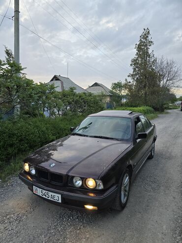 экран бмв: BMW 5 series: 1994 г., Бензин