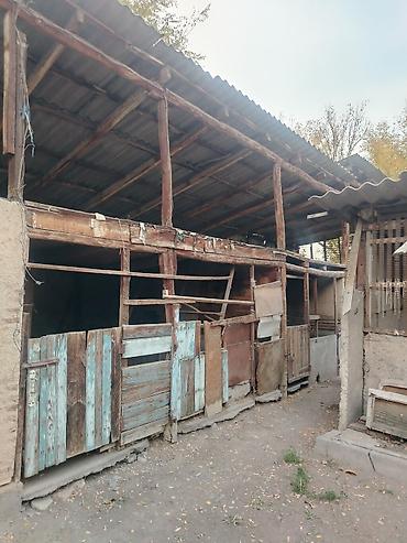 продаю дом киргизия 1: 6 комнат, 120 м², 25 соток, Петровка, Собственник — 6