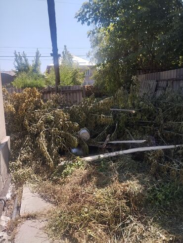 приму в дар детские вещи: Отдам даром дрова