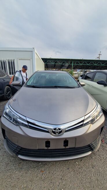 маленькая машина: Toyota Corolla: 2019 г., 1.2 л, Автомат, Бензин, Седан