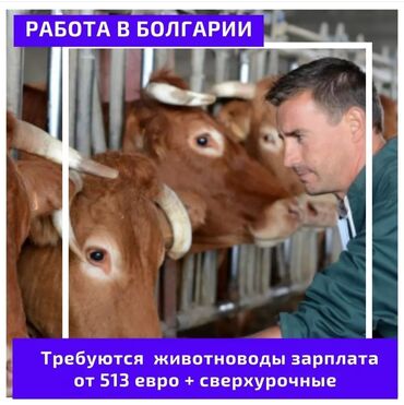 Сельское хозяйство: 000702 | Болгария. Сельское хозяйство. 5/2