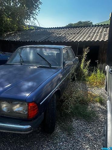 mers 140: Mercedes-Benz W123: 1980 г., 2 л, Механика, Бензин, Седан — 1