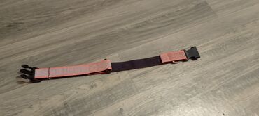 it ehtibarli əllərə verilir: Alman çoban iti, 1 ay, Erkek, Cütləşmə üçün, Pulsuz çatdırılma