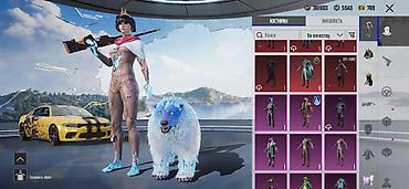 Другие видеоигры: Игровой аккаунт PUBG Mobile Донатный аккаунт Серьезному покупателю — 5