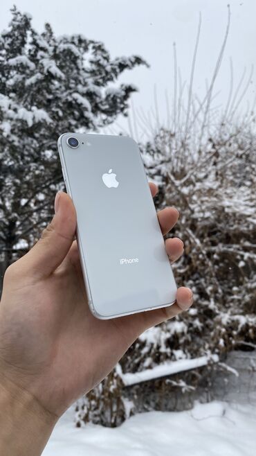 чехол на айфон 6 s: IPhone 8, Б/у, 64 ГБ, White Titanium, Чехол, 100 %