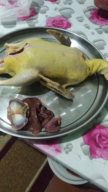 İçkilər: Halal kəsim lal ordeyler imiz satışda