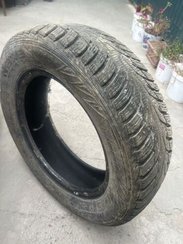 лабавой портер: Шиналар 185 / 65 / R 15, Winter stud, Жаңы, Комплект, Жеңил унаалар, Nexen