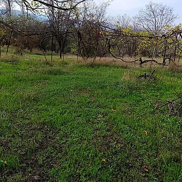 Torpaq sahələrinin satışı: 24 sot — 6