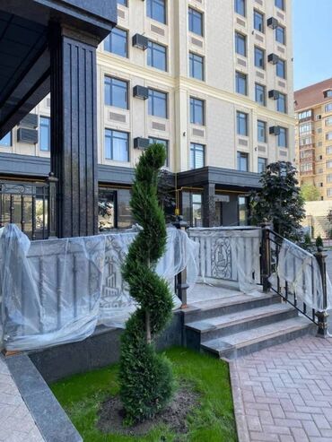 квартира азия молл в Кыргызстан | Долгосрочная аренда квартир: 1 комната, 46 м², Элитка, 6 этаж, Газовое отопление
