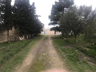 Torpaq sahələrinin satışı: 30 sot, Makler, Kupça (Çıxarış) — 11