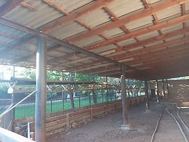 Torpaq sahələrinin satışı: Kənd təsərrüfatı — 5