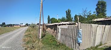 куплю поле: 6 соток, Для сельского хозяйства — 5