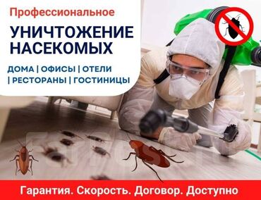 соль для животных: Дезинфекция, дезинсекция | Клопы, Блохи, Тараканы | Транспорт, Офисы, Квартиры