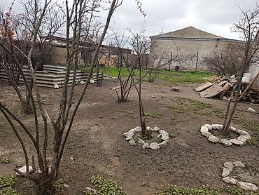 Qonaq otağı dəstləri: Masa və oturacaqlar — 16