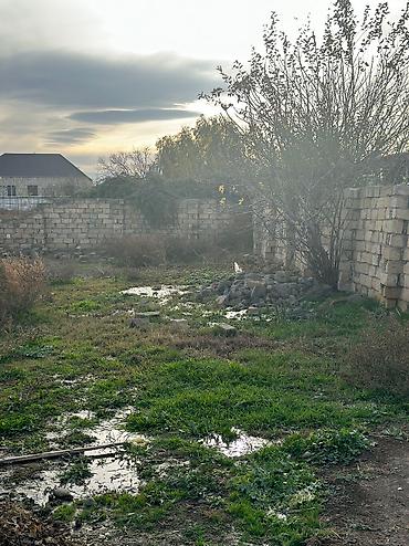 yeni emlak kiraye: 8 sot, Tikinti, Mülkiyyətçi, Bələdiyyə — 2