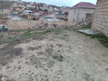 masallida torpaq: 8 sot, Tikinti, Mülkiyyətçi, Kupça (Çıxarış)