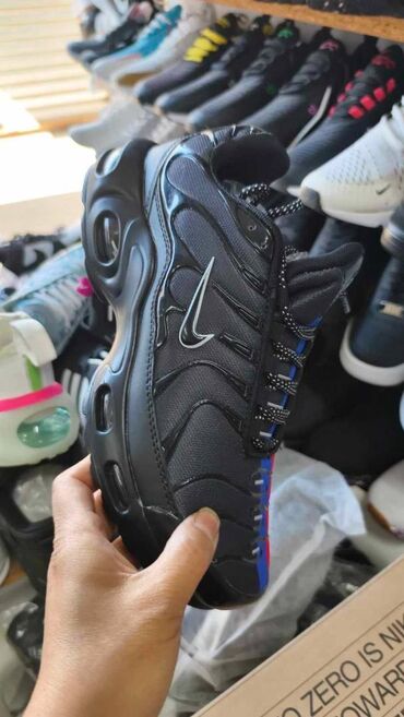 Patike: NIke air max tn patike

Novo
Brojevi 36 do 46

fb Moja Kupovina 1 — 7