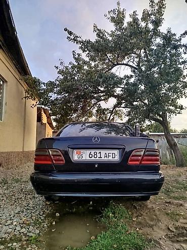 daf 480: Mercedes-Benz E-Class: 2001 г., 3.2 л, Автомат, Дизель, Седан — 3