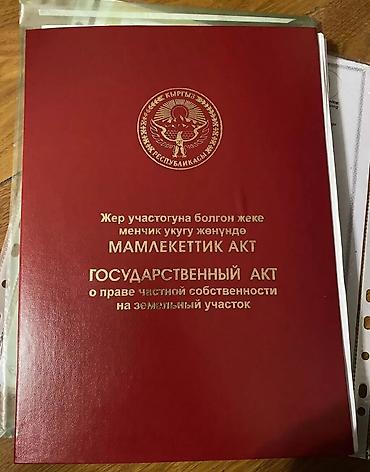 секс в иссык куле: 5000 соток, Для бизнеса, Красная книга, Тех паспорт, Договор купли-продажи — 2