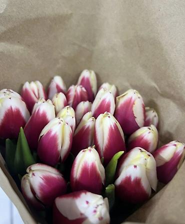 Букеты из живых цветов: Тюльпаны Оптом и в розницу - Разнообразие оттенков: жёлтые, розовые — 6