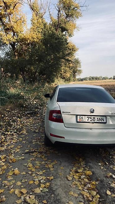 Skoda Octavia: 2015 г., 1.6 л, Кол менен иштөөчү, Бензин, Седан — 4
