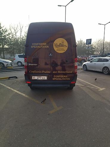 Mercedes-Benz: Mercedes-Benz Спринтер: 2007 г., 2.2 л, Автомат, Дизель, Фургон — 5