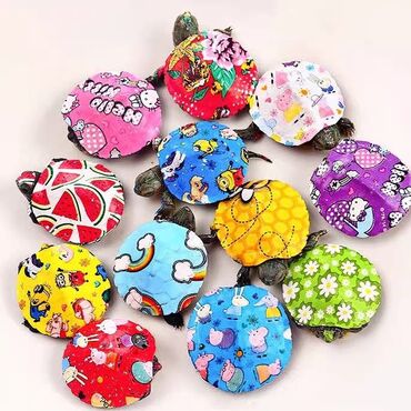 Geyimlər: 🐢🌈 Rəngli Tısbağalar – Yeni Sevimli Ev Dostunuz! Magazamızda sizə çox
