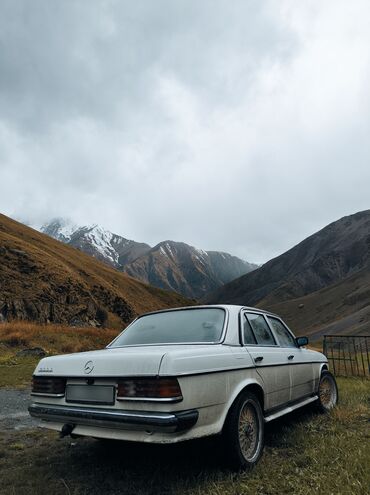 Mercedes-Benz: Mercedes-Benz W123: 1983 г., 3 л, Механика, Дизель, Седан