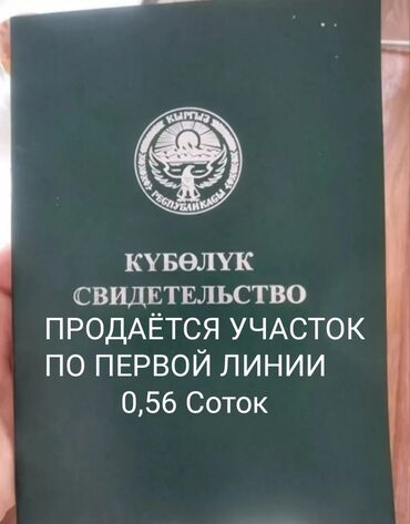 батир сатылат: 56 соток, Бизнес үчүн, Кызыл китеп, Техпаспорт, Сатып алуу-сатуу келишими