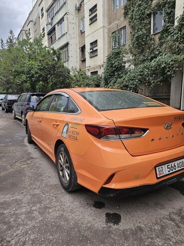 автомобиль самсунг: Hyundai Sonata: 2019 г., 2 л, Автоматические, Газ, Седан